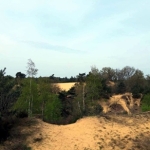 natuurexploratie-03