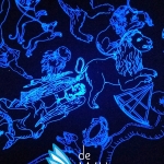 Planetarium-10