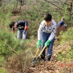 type 3 werkt met natuurpunt (4)